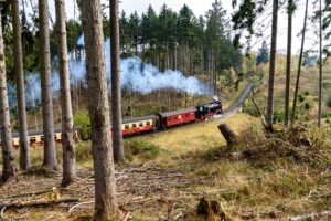 Matratzenreinigung Harz