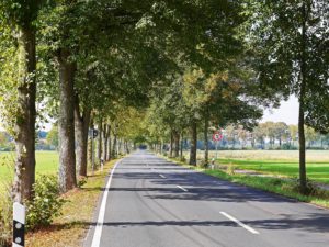 Hotel Matratzen reinigen Borken